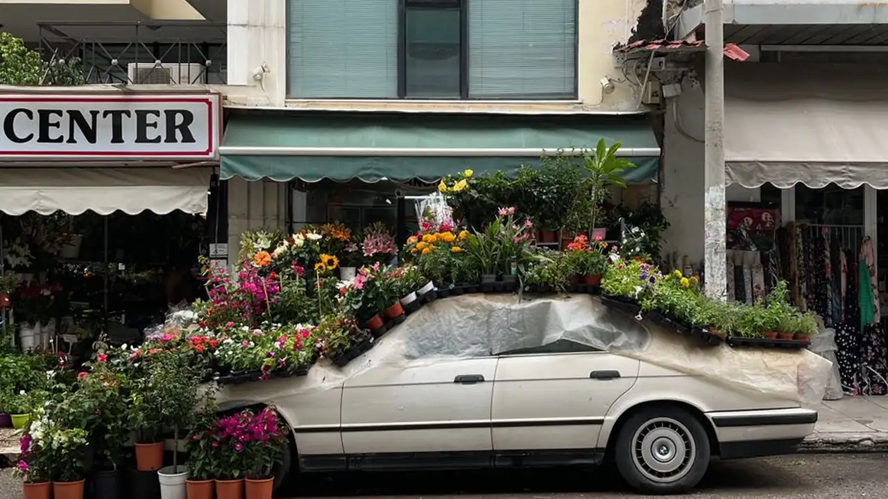 飞虎qvod图片2