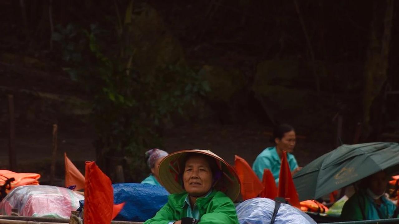 免费污污视频软件图片4