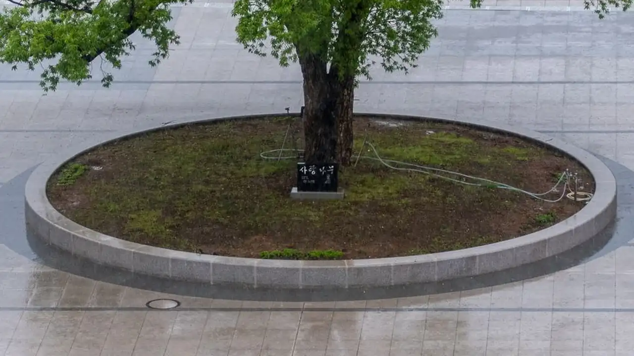 彩虹Gay.Cam图片1