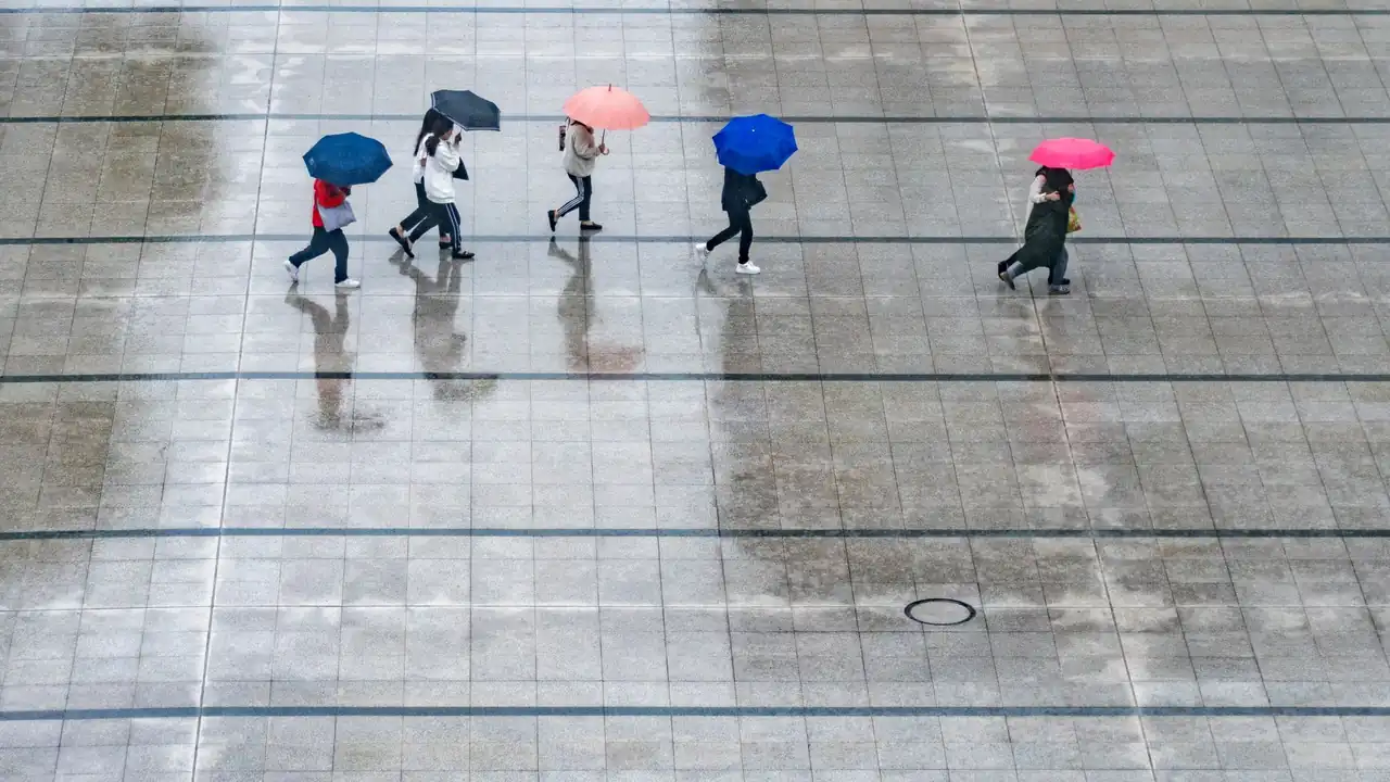 鸡西在线相关配图