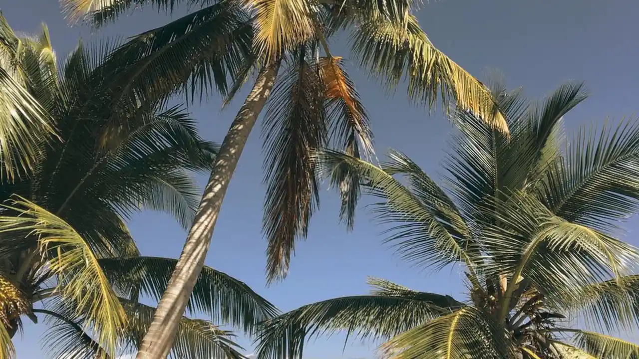 欧美交换配乱吟粗大免费看图片2